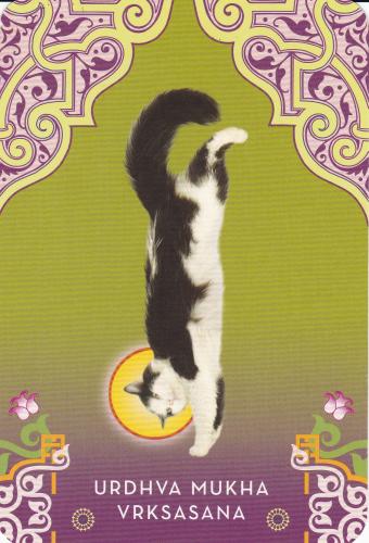 Vintage postcard with a black and white cat sitting on green background
