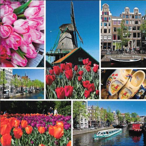 Amsterdam canals with flowers and windmills