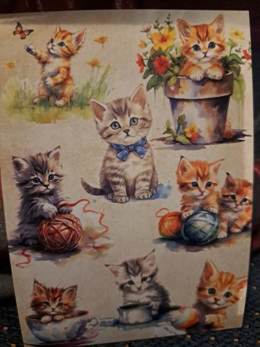 Cute kittens with balls of yarn in a box on the table