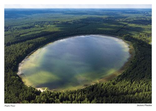 Aerial view of a lake in the middle of the forest.