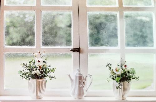 Flowers in a vase on the windowsill in the morning