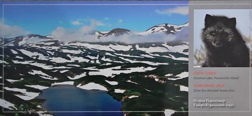 Polar bear in the mountains. Polar bear in the mountains.
