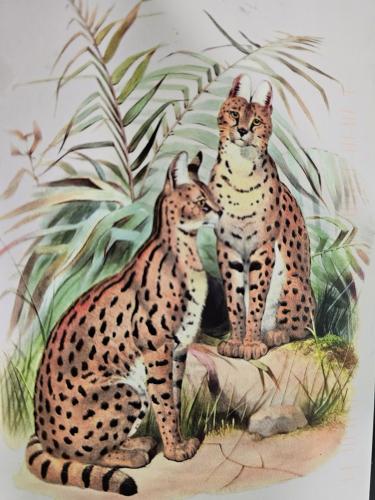 Children's painting of a cheetah and cub in the forest