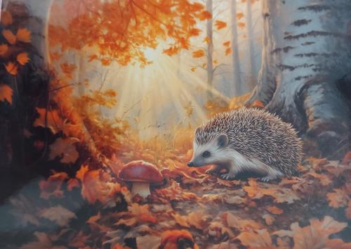 Hedgehog in the autumn forest with mushrooms and fallen leaves.