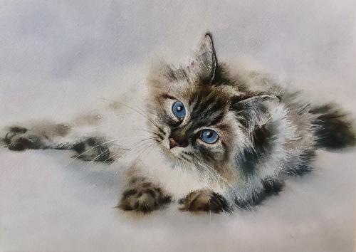 Cute little kitten with blue eyes. Watercolor painting on paper.