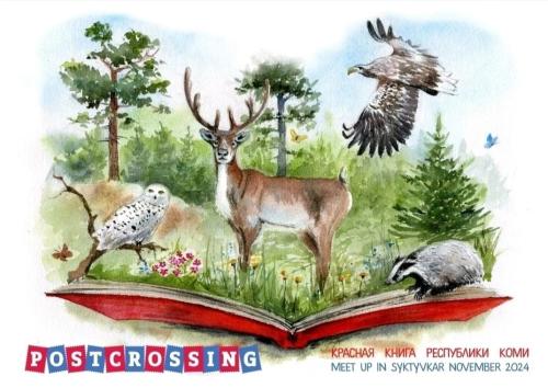 Poster with deer, owl, roe deer, hedgehog and owl in the forest.
