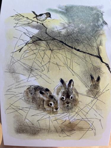Children's drawing of a hare family on a piece of paper