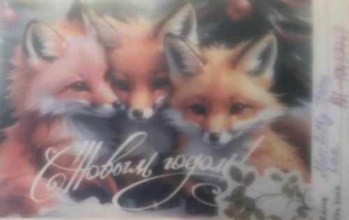 Merry Christmas and Happy New Year card with funny foxes.