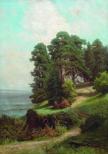 landscape with trees on the coast of the Baltic Sea in Poland