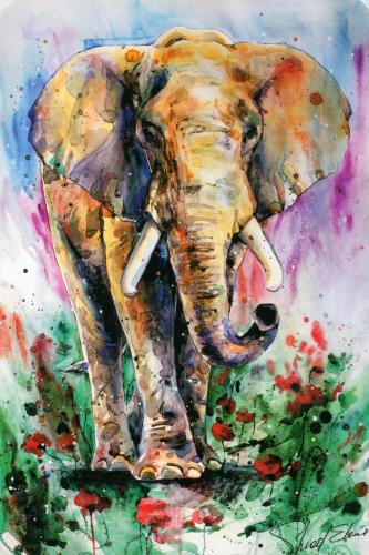 Elephant with red poppies in the background. Watercolor painting