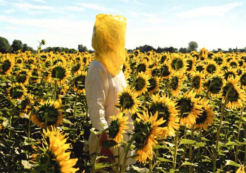 A woman in a yellow raincoat standing in a sunflower field