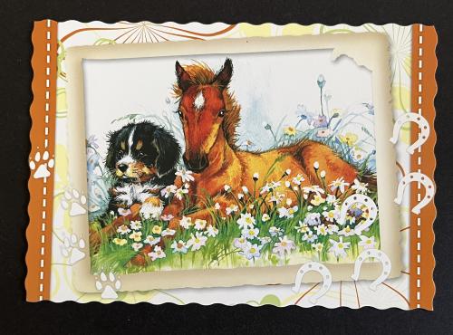 The reverse side of a postcard with a portrait of a dog and a puppy.
