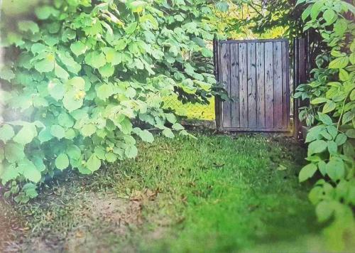Wooden door in the garden. Photo in old color image style.