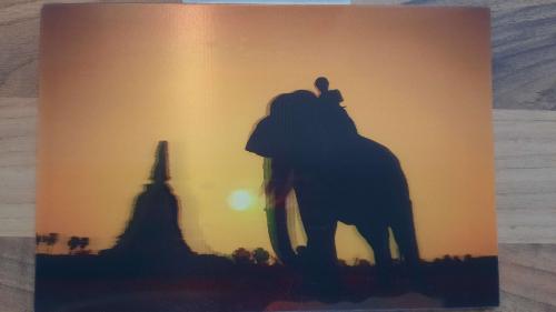 silhouette of elephant in front of egyptian pagoda