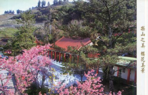 Cherry blossoms and pagoda in Yunnan, China.