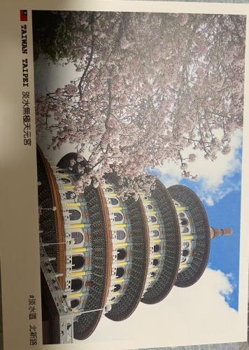 Cherry blossoms in Japan