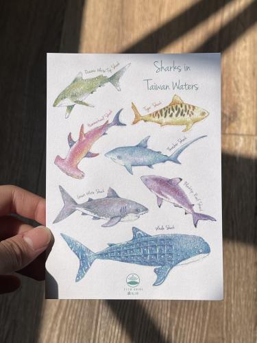 A child's hand holds a piece of paper with a picture of the sea animals.