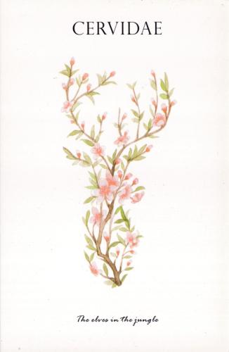 Vintage postcard with cherry blossom branch. Hand drawn illustration.