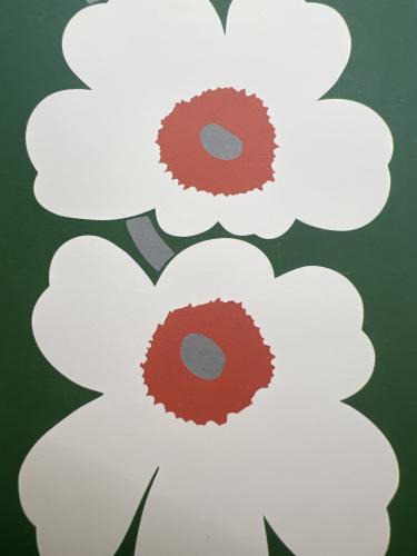 White flowers on a green chalkboard in a children's room. White flowers on a green chalkboard in a children's room.