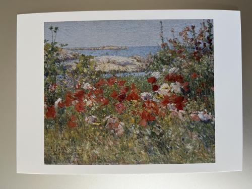 Poppies on the background of the sea and the sky.
