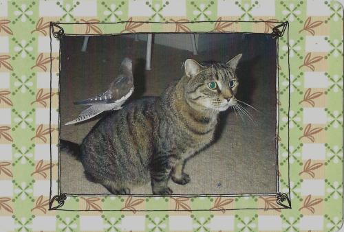 Cat with a bird on a background of a green floral pattern. Cat with a bird on a background of a green floral pattern.