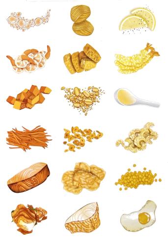A collection of different types of pasta isolated on a white background.