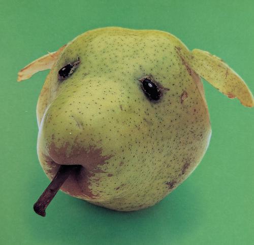 pear with a stick on a green background. close-up