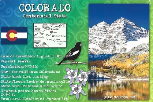 Colorado travel postcard with a bird on the background of the mountains