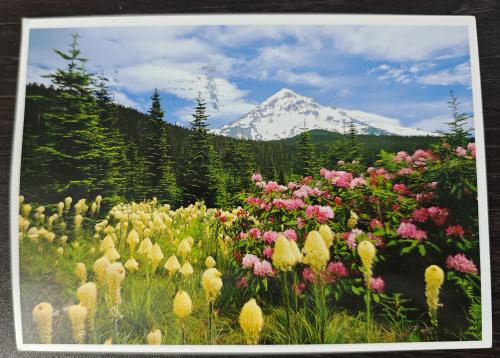 Mount Rainier National Park, Washington, USA. Photo collage.