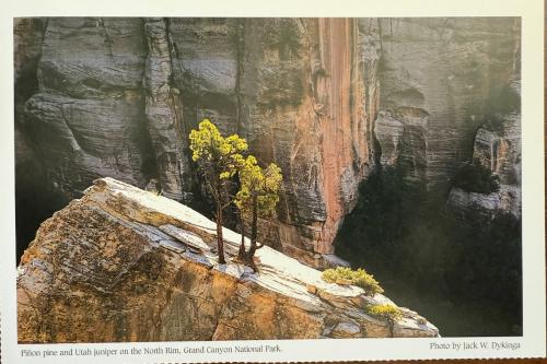 USSR - CIRCA 1980s: A postcard printed in USSR shows image of Yosemite National Park, circa 1980s.
