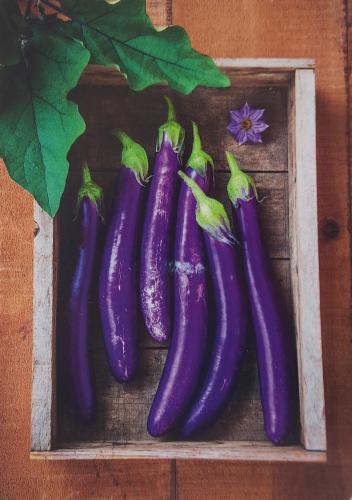 Fresh purple eggplants in a wooden box on a wooden background