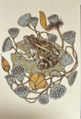 Frog and lotus flowers, hand-drawing on paper