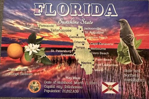 Florida USA map with a bird and orange on a sunset background.