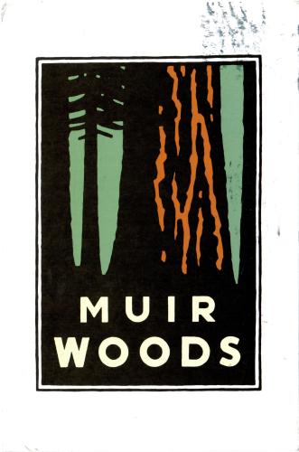 Mulrooms World Mural.