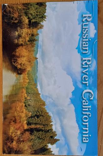 Vintage photo album with a picture of the forest and blue sky