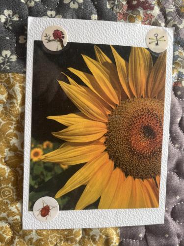 Sunflowers and a photo frame on a background of quilted fabric