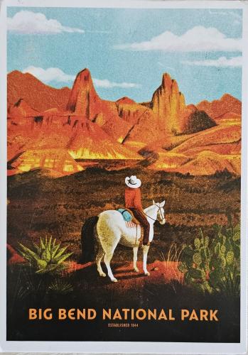 USSR - CIRCA 1988: A postcard printed in USSR shows image of a riding horse, circa 1988
