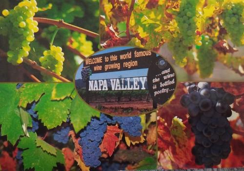 Riquewihr vineyard in autumn