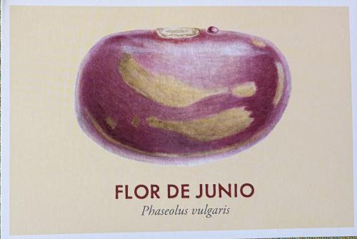 FOLDU - CIRCA 1980: A stamp printed in FOLDU shows image of the fruit, circa 1980.