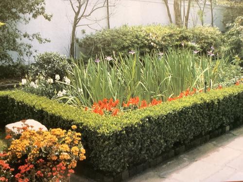 Flowerbed in the garden with a variety of plants and flowers