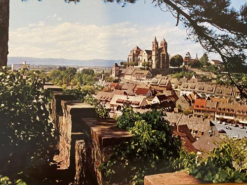 A view of the city of Strasbourg, France from the castle