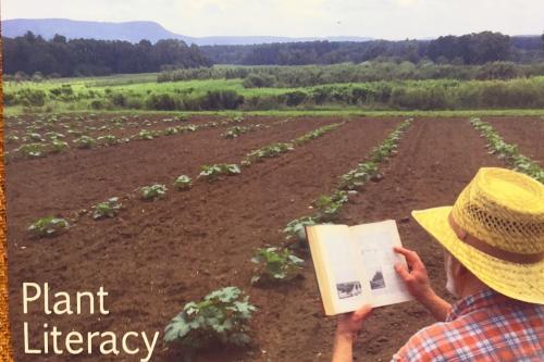 Planning life in the field. A man in a straw hat is reading a book.