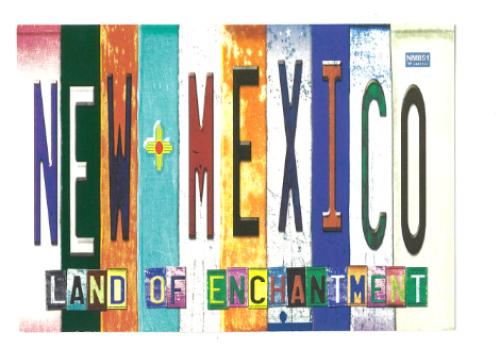 The word New Mexico on a white background.
