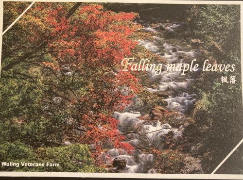 A postcard printed in Kamchatka shows image of a waterfall, circa 1980s