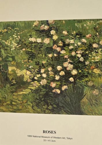 Pesaro (Italy) - Vintage hand painted card.
