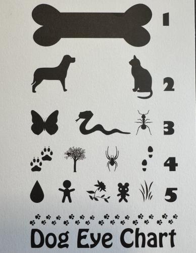 Dog and cat silhouettes on white background. Dog and cat silhouette.
