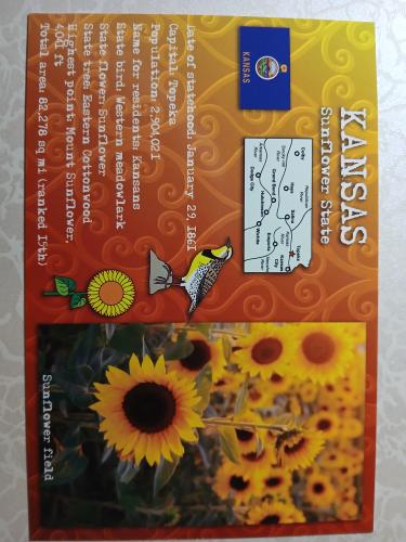 Sunflowers and a map of the city of Belize in South America