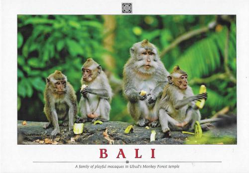 A stamp printed in Bali shows monkey family, circa 1988