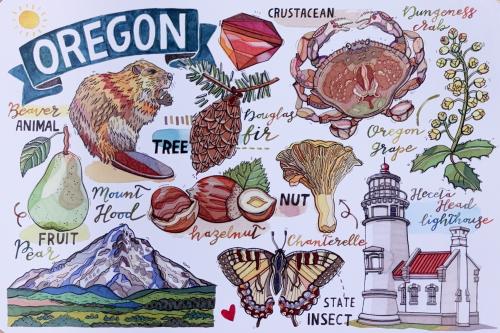 A hand drawn illustration of a set of different kinds of wild animals