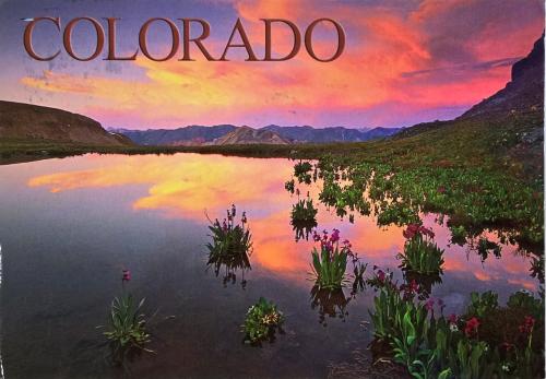 Colourado painting. The word colourado is written in Spanish.